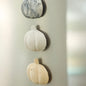 pumpkin magnet