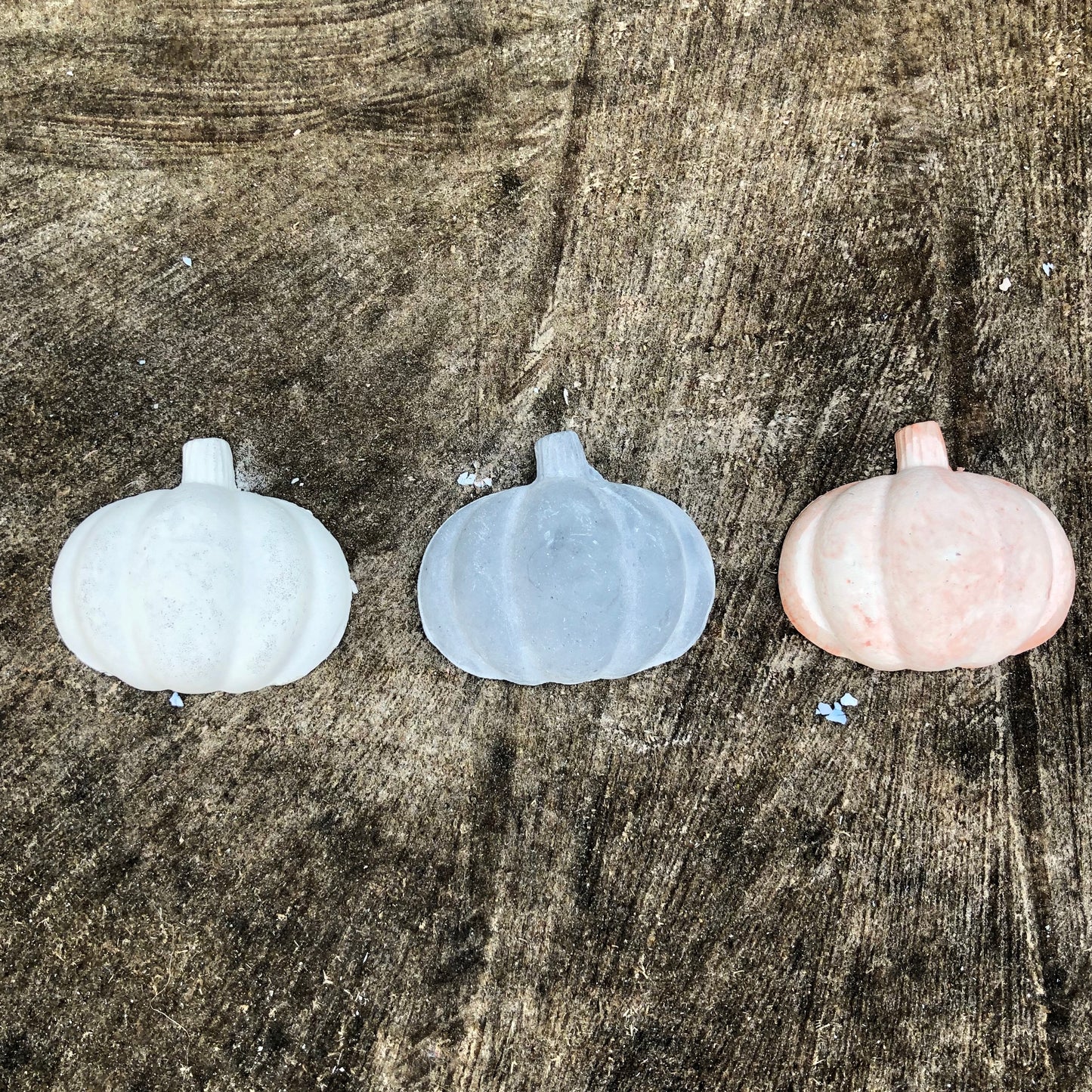 pumpkin magnet